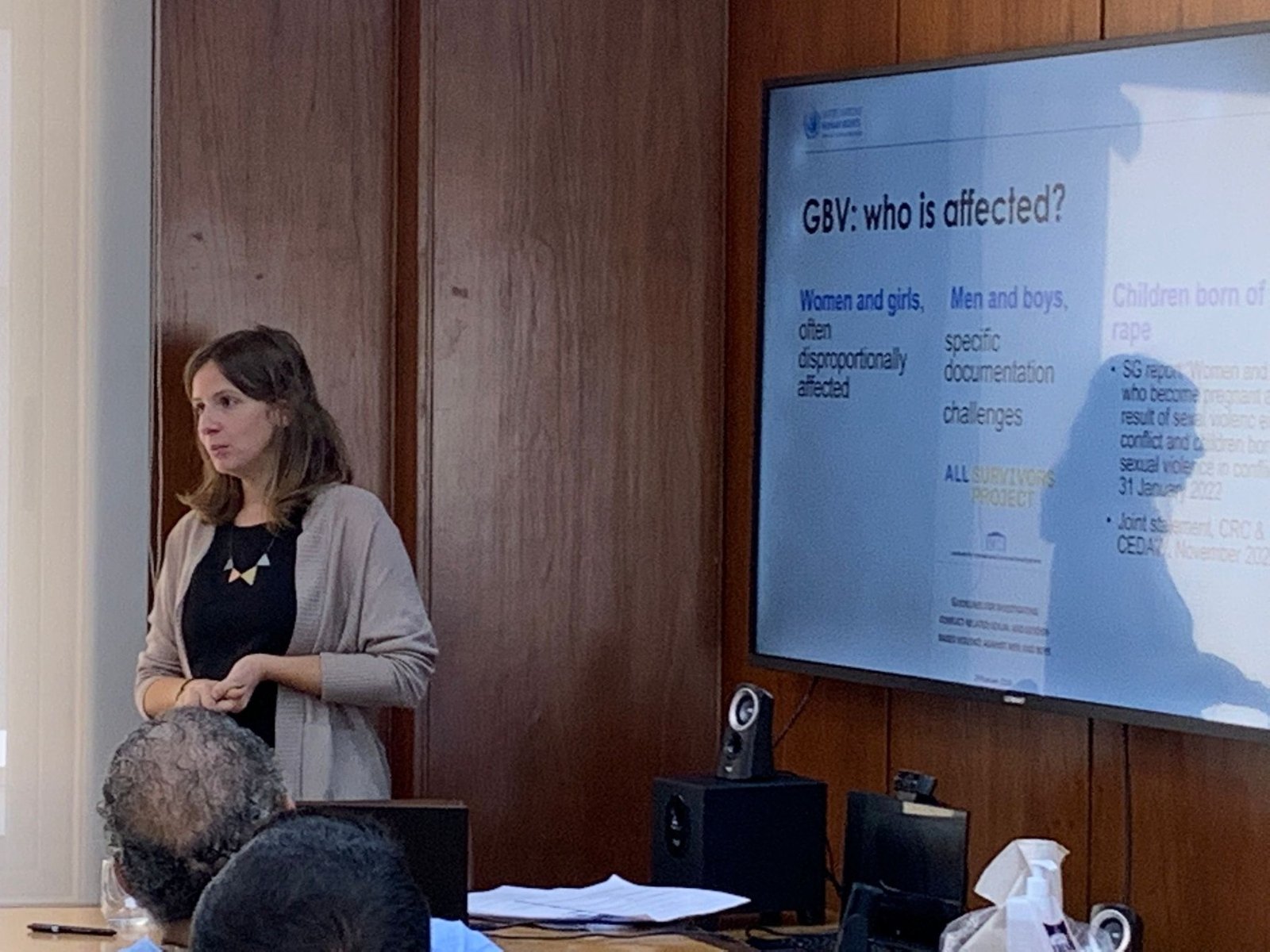 Training the OHCHR Syria office on documenting gender-based violence, Lebanon 2022